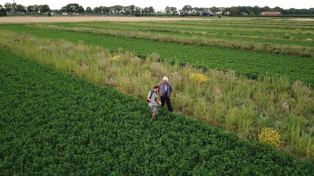 Two people in a nature-inclusive Dutch farm field with crop strips and wildflower margins