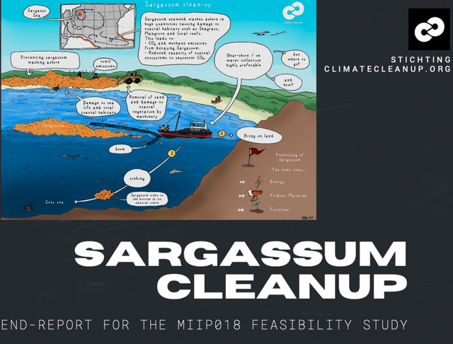 Sargassum Cleanup Feasibility Study cover