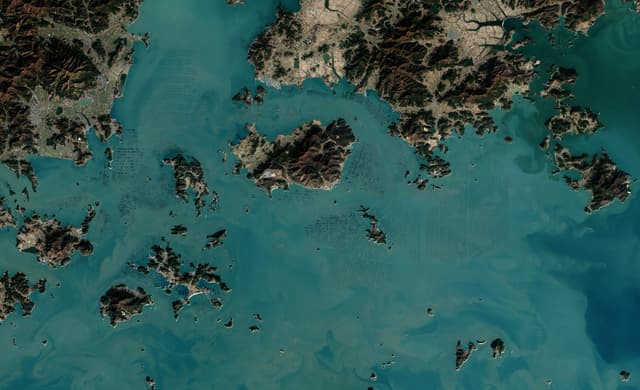 Coastal nature — ocean carbon