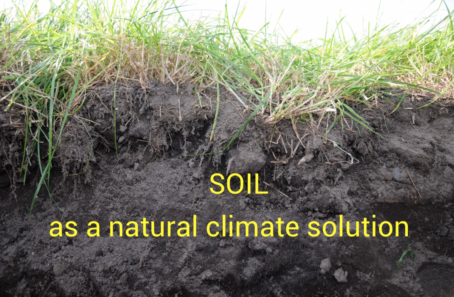 Soil as a natural climate solution